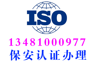 百色德保保安审计报告